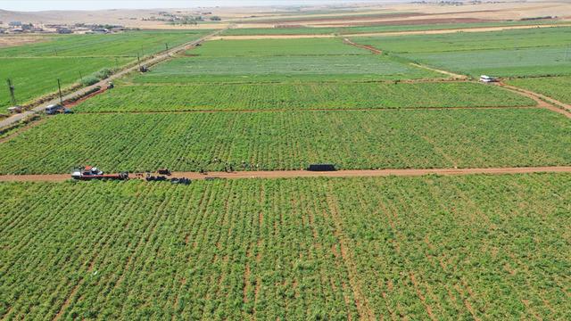 Kiralaya kiralaya 50'den 600'e çıkardı: 300 çalışanı var