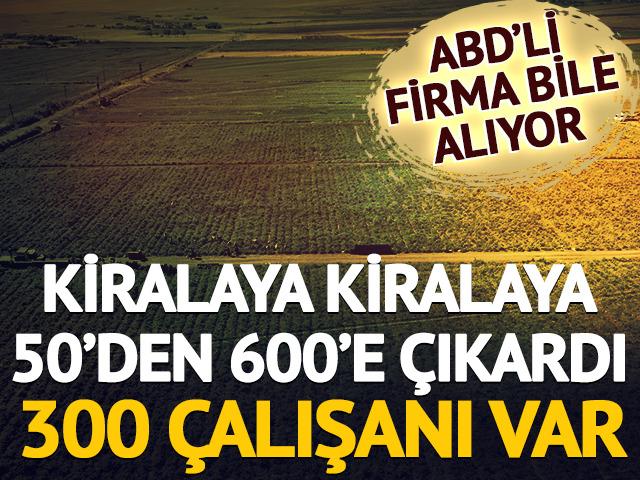 Kiralaya kiralaya 50'den 600'e &ccedil;ıkardı: 300 &ccedil;alışanı var