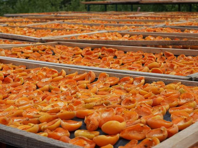 Meyveleri kurutup markasını oluşturdu! Amacı israfı &ouml;nlemek