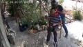 Bah�esine girdi, darp edip boynunu k�rmaya �al��t�! 