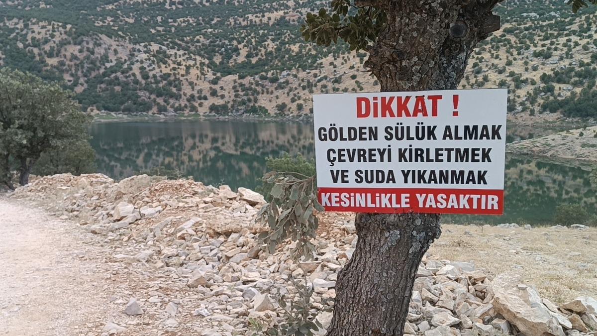 Geri dönünce akın ettiler! Saatlerce deniyorlar: Çıkarmak kesinlikle yasak 3