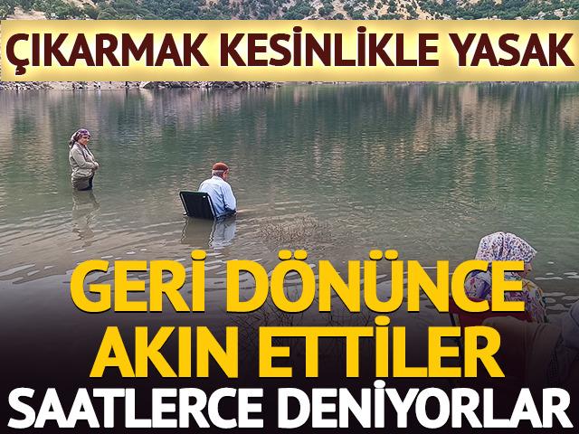 Geri d&ouml;n&uuml;nce akın ettiler! Saatlerce deniyorlar: &Ccedil;ıkarmak kesinlikle yasak