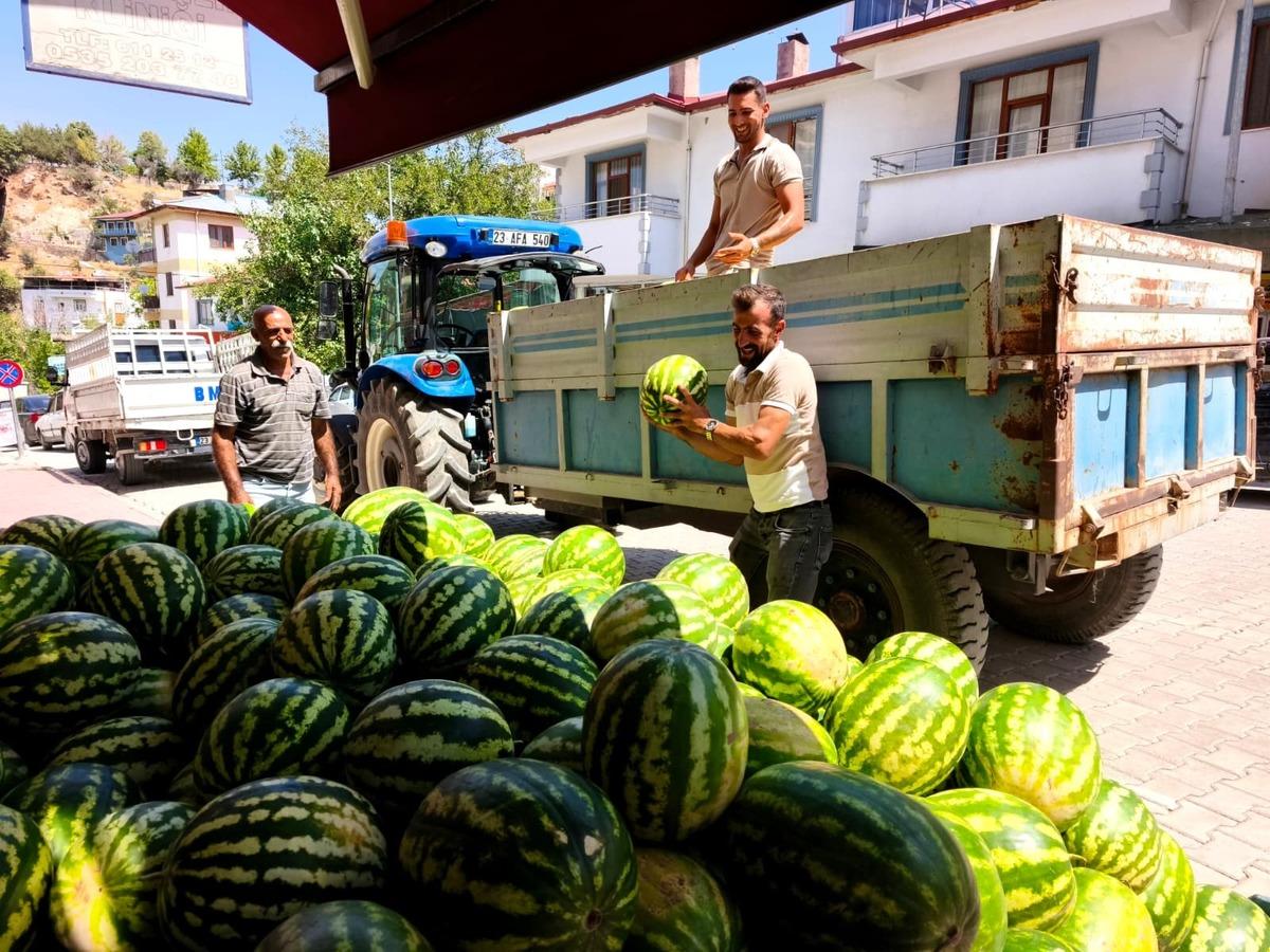 Susuz ve ilaçsız yetişiyor: Tadı şeker gibi! Kapış kapış gidiyor 1