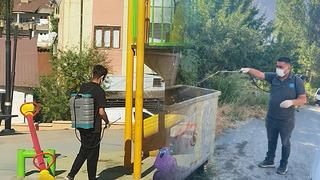 Kara sinekler bir kenti ele geçirdi! Mücadele sürüyor