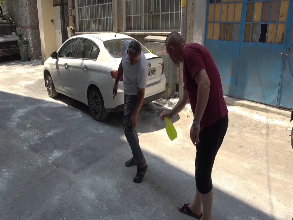 Bursa da pire alarmı! Hepsi apartmanın i&ccedil;inden &ccedil;ıktı: Ka&ccedil;acak yer aradılar 4