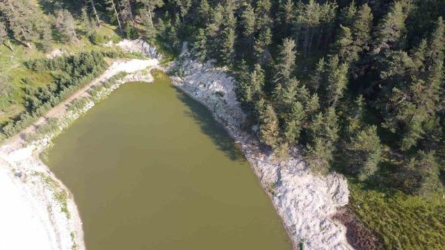Bolu&rsquo;da orman yangınlarına m&uuml;dahalede kritik rol oynayan Sarpıncık G&ouml;leti&rsquo;nde temizlik yapıldı 5
