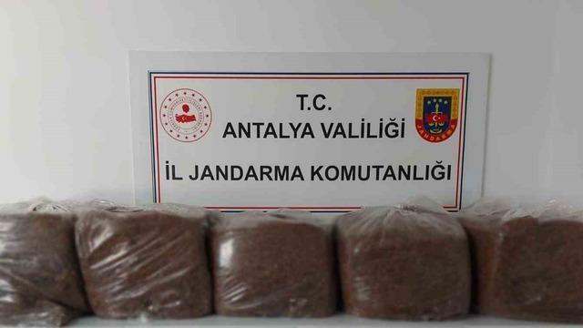 Alanya ve Demre’de 285 kilo kaçak tütün ele geçirildi