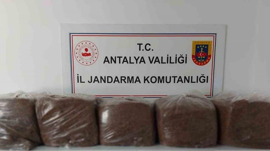 Alanya ve Demre&rsquo;de 285 kilo ka&ccedil;ak t&uuml;t&uuml;n ele ge&ccedil;irildi
