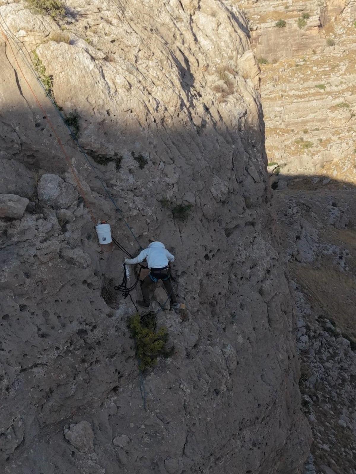 Dağların yamaçlarında kayaların arasından bal çıkartıyor! Kilosu mini servet 2