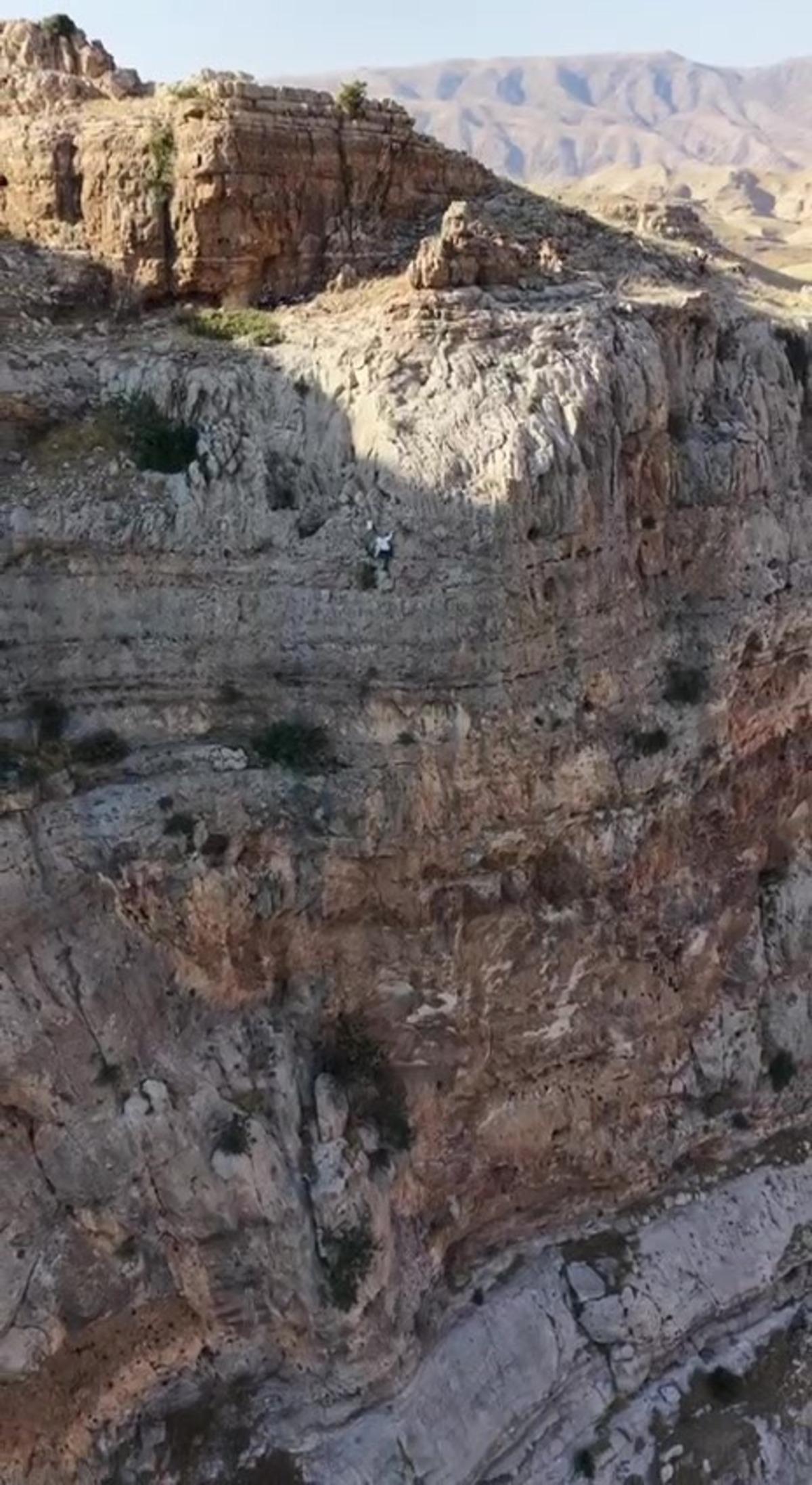 Dağların yamaçlarında kayaların arasından bal çıkartıyor! Kilosu mini servet 5