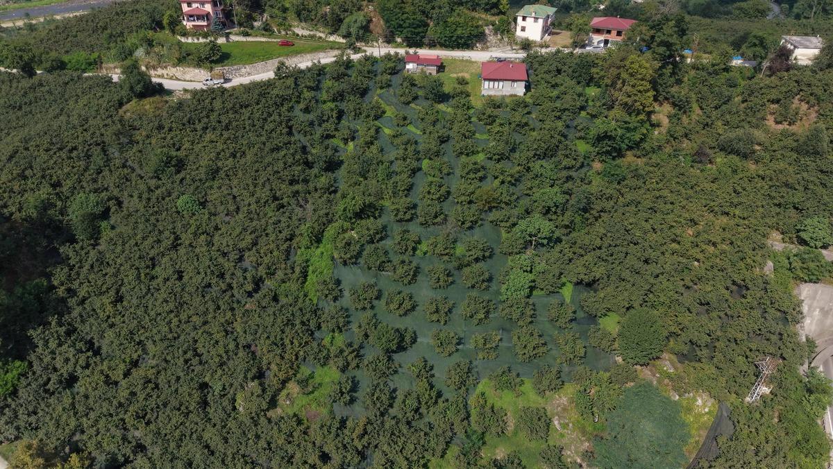 Yeni sistemle maliyet yok denecek kadar azaldı:  Para kalıyor  12