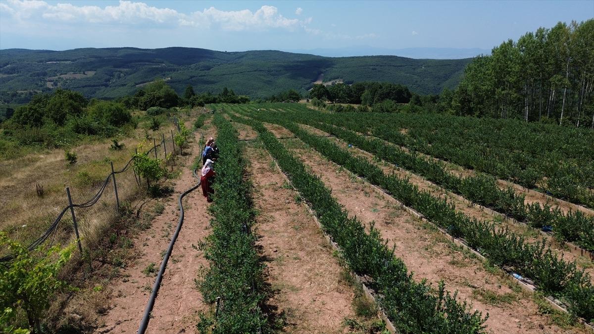 Emekli olunca karar verip kurdu: Onu gören 5 yatırımcı da başladı 2