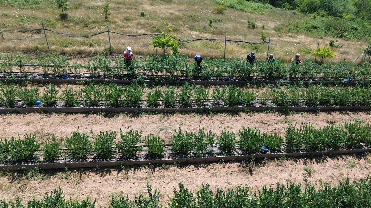 Emekli olunca karar verip kurdu: Onu gören 5 yatırımcı da başladı 3