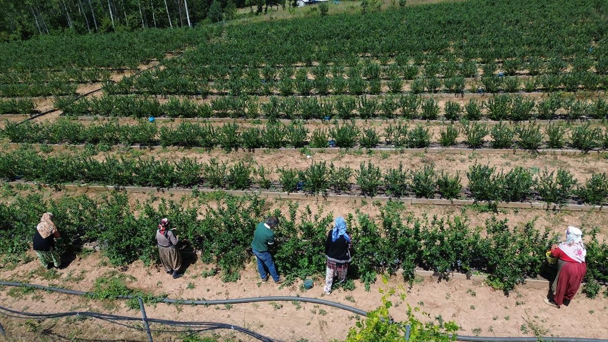 Emekli olunca karar verip kurdu: Onu gören 5 yatırımcı da başladı 4