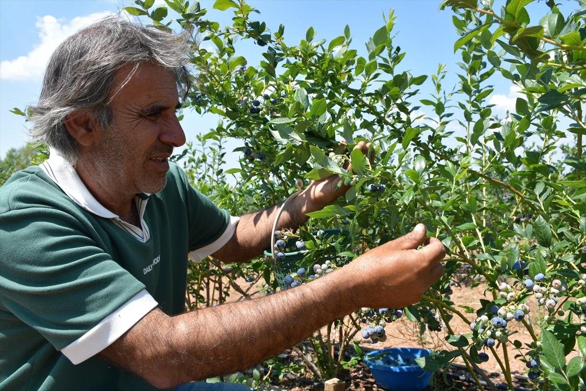 Emekli olunca karar verip kurdu: Onu gören 5 yatırımcı da başladı 9