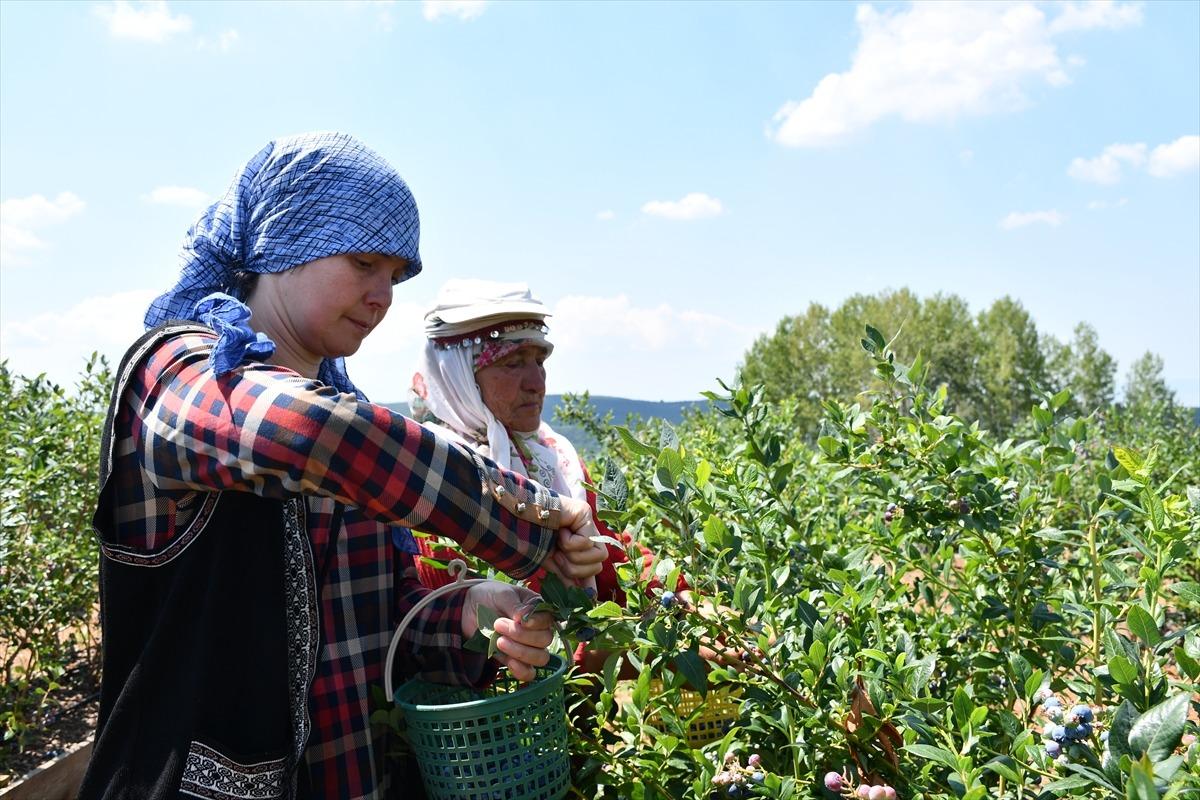 Emekli olunca karar verip kurdu: Onu gören 5 yatırımcı da başladı 11