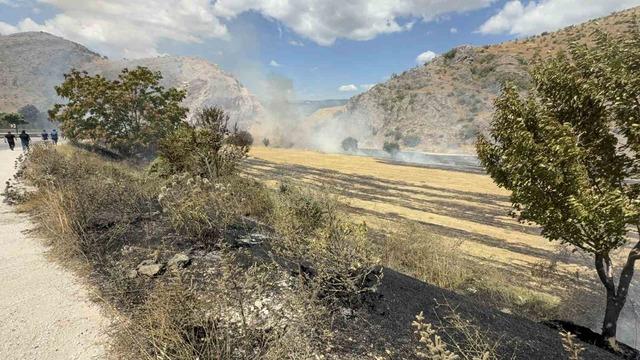 Tokat’ta otluk alandaki yangın büyümeden söndürüldü 1
