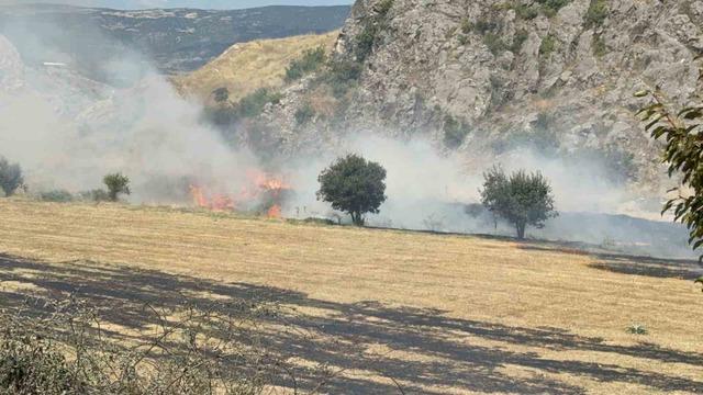 Tokat’ta otluk alandaki yangın büyümeden söndürüldü 2