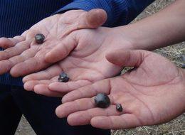 Göktaşı umut kapısı oldu