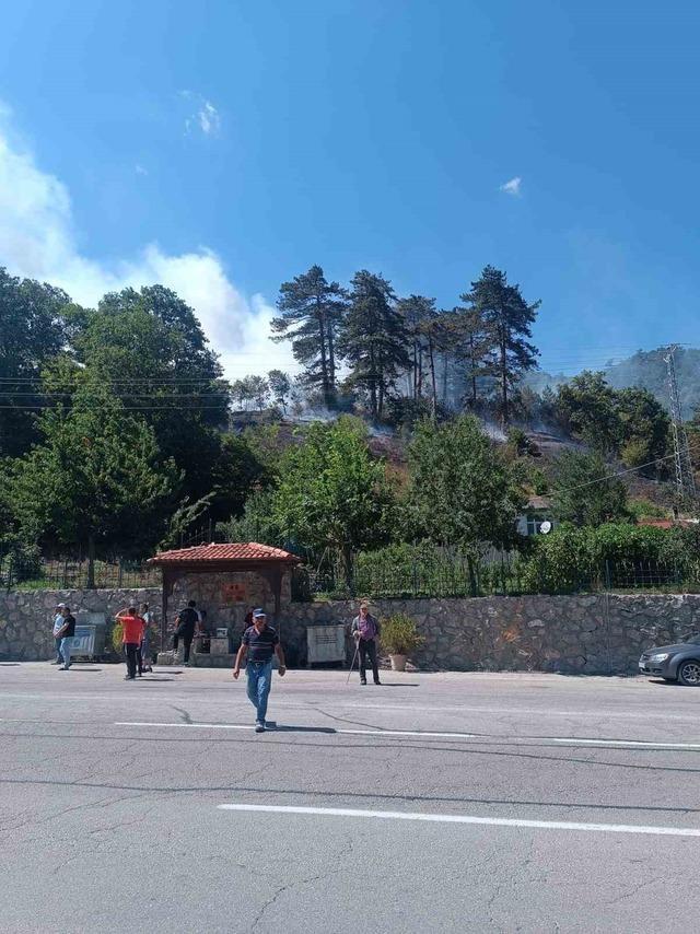 Sinop’ta orman yangını 1