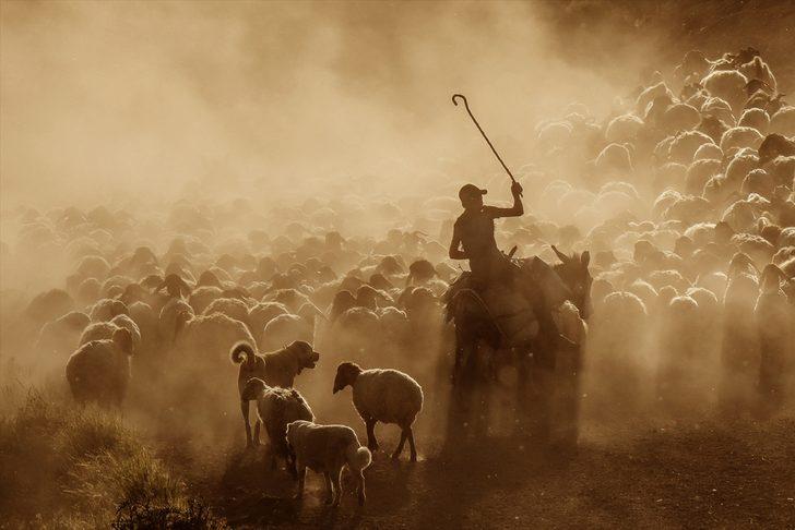  Sürülerin zorlu yolculuğu başladı G4