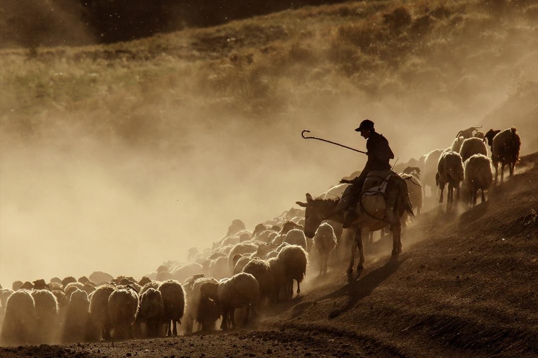  S&uuml;r&uuml;lerin zorlu yolculuğu başladı