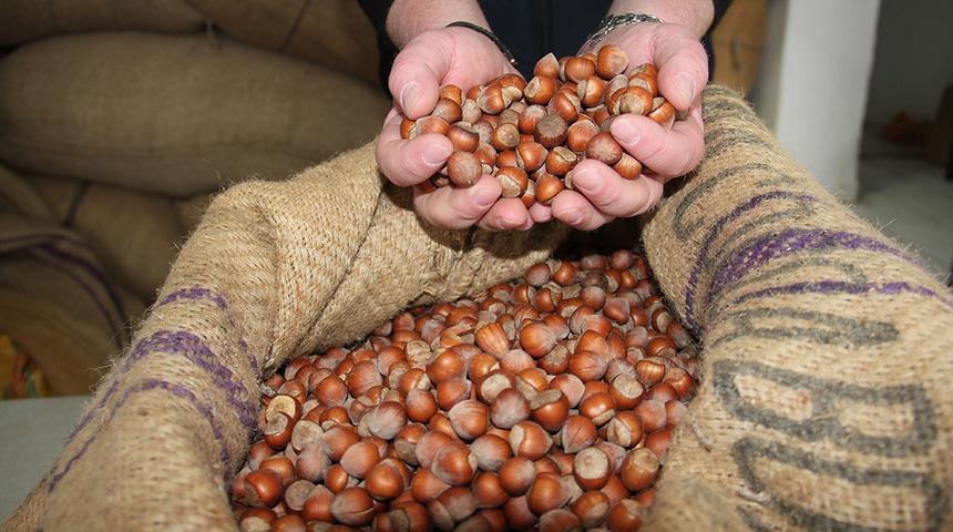 Alımlar 24 Ağustos'ta başlayacak: Randevu i&ccedil;in tarih belli oldu