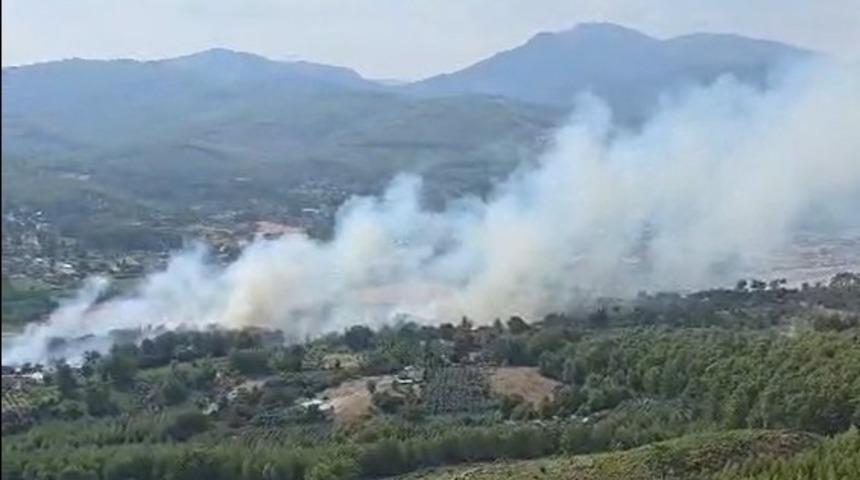 Seydikemer&rsquo;de orman yangını