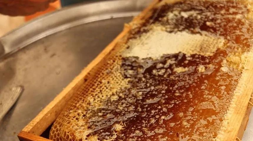 Zengin floraya sahip Ağrı'da tescilli geven balında 357 ton verim bekleniyor