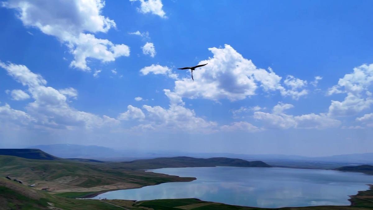 Belgesellere konu olacak türden görüntü: Biri sürüngen diğeri kuş! İkiside havada yakalandı 2