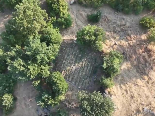 Diyarbakır'da uyuşturucu operasyonu! 17 ş&uuml;pheli yakalandı
