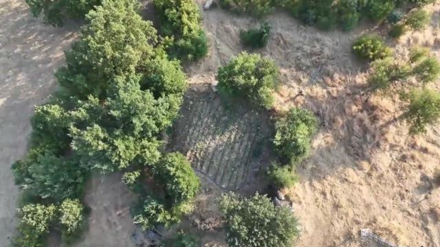 Diyarbakır'da uyuşturucu operasyonu! 17 şüpheli yakalandı