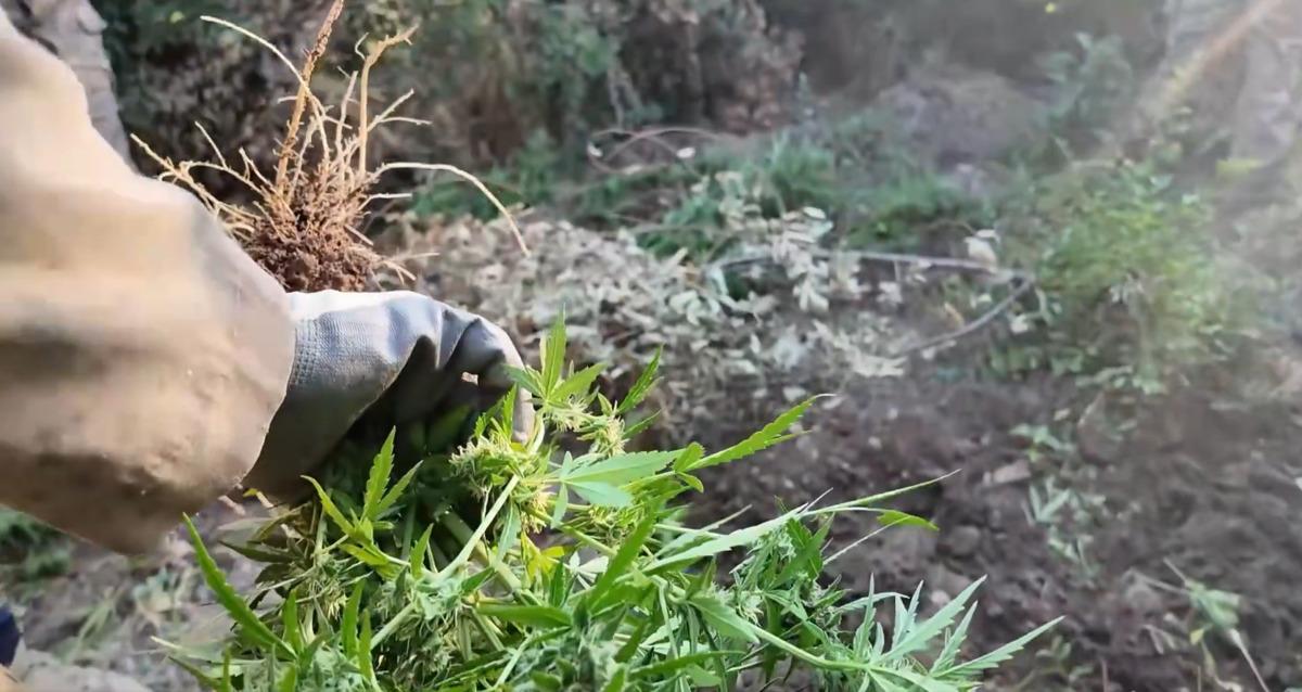 Diyarbakır da uyuşturucu operasyonu! 17 şüpheli yakalandı 1
