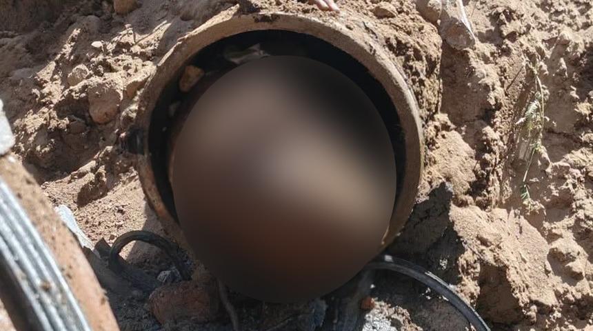 Boru hattının i&ccedil;inden &ccedil;ıktı: 15 yıldır oradaymış!