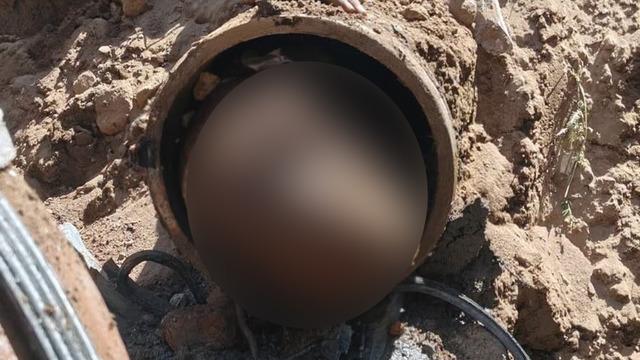 Boru hattının içinden çıktı: 15 yıldır oradaymış!