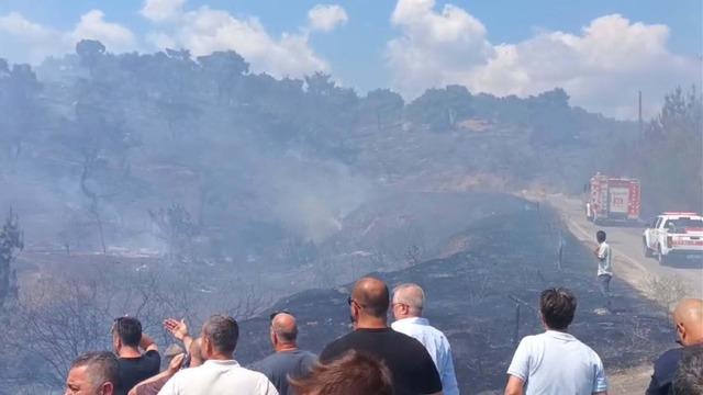 Balıkesir de orman yangını 2