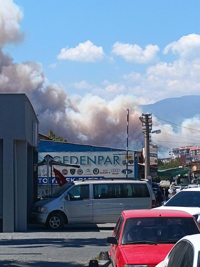 Balıkesir de orman yangını 1
