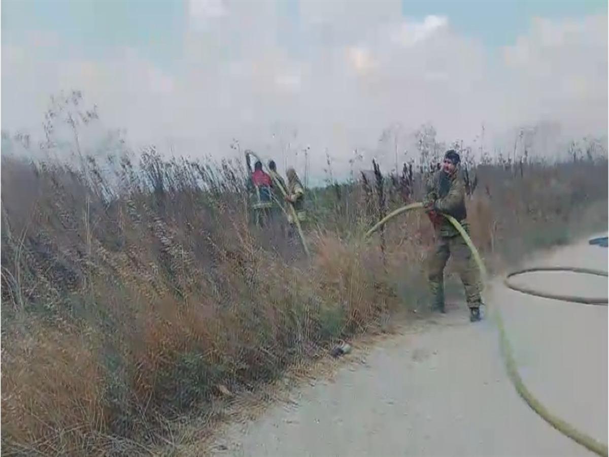 Silivri de tarlada yangın; TEM Otoyolu trafiğe kapatıldı 1