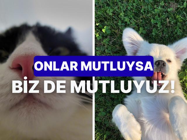 Mutlu olduğunu anlamanızı sağlayacak 10 gizli işaret