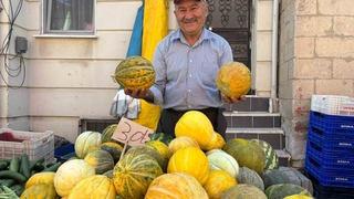 Tavşanlı’nın meşhur Kışlademirli kavunu pazara indi