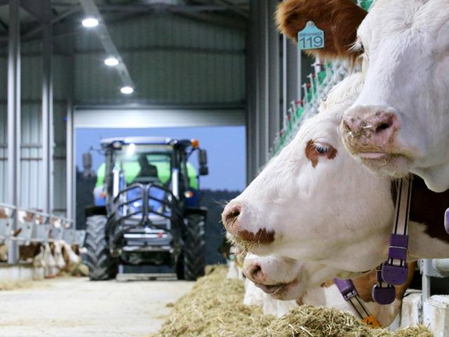 Devlet desteğiyle yıllık 430 ton s&uuml;t &uuml;retim kapasiteli tesis kurdu