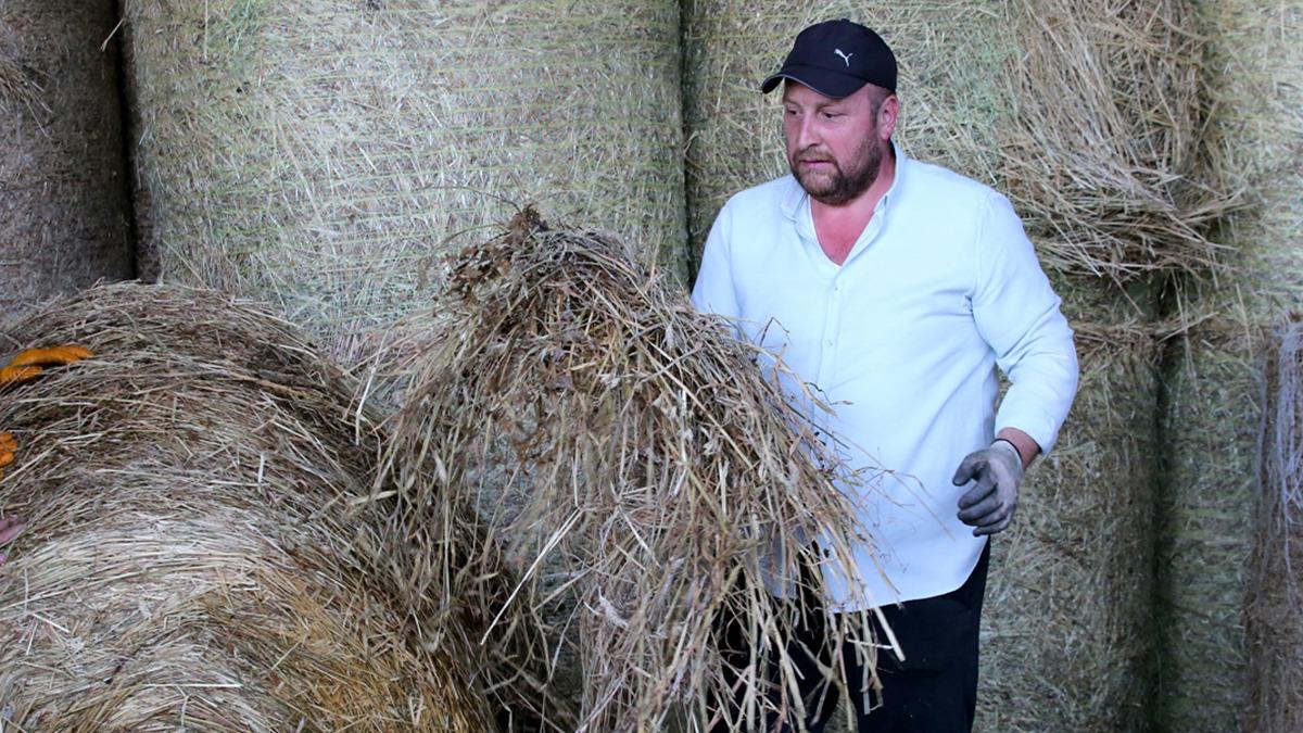 Devlet desteğiyle yıllık 430 ton s&uuml;t &uuml;retim kapasiteli tesis kurdu 1