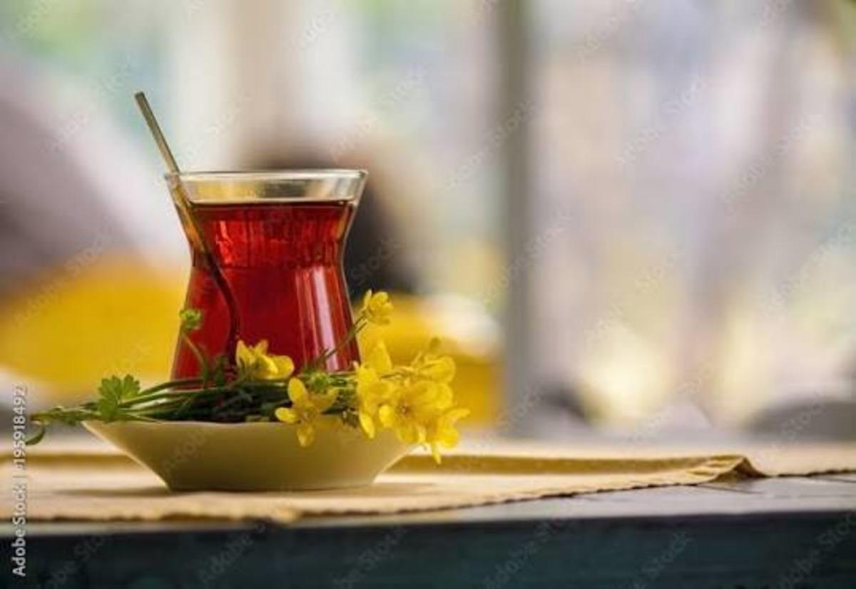 Kahve kokusunu duyunca birden uykusu açılanların asla anlayamadığı 10 insan tipi 1