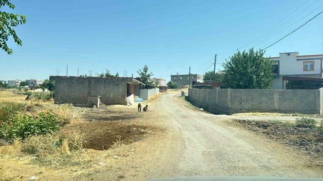Kedi tarafından ısırılan çocuğa aylar sonra kuduz şoku: Entübe edildi 2