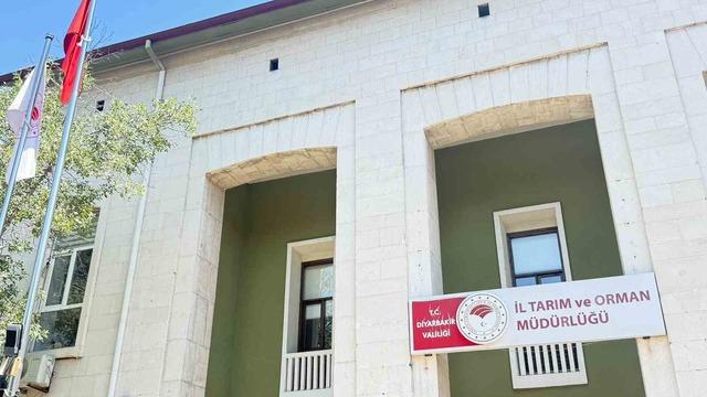 Kedi tarafından ısırılan çocuğa aylar sonra kuduz şoku: Entübe edildi 1
