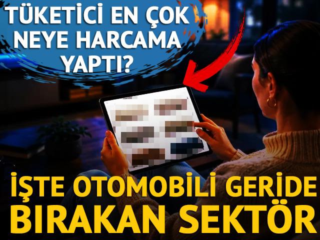 T&uuml;ketici en &ccedil;ok neye harcadı? İşte otomobili geride bırakan sekt&ouml;r...