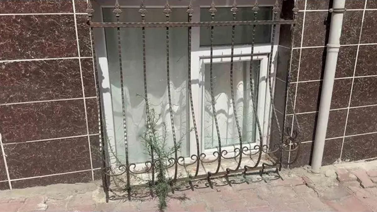 Genç kadın anlattıkça herkes dehşete düştü: ‘Gitmediğim savcılık, karakol kalmadı’ 2