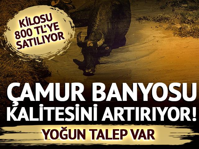 &Ccedil;amur banyosu kalitesini artırıyor! Kilosu 800 TL' den satılıyor