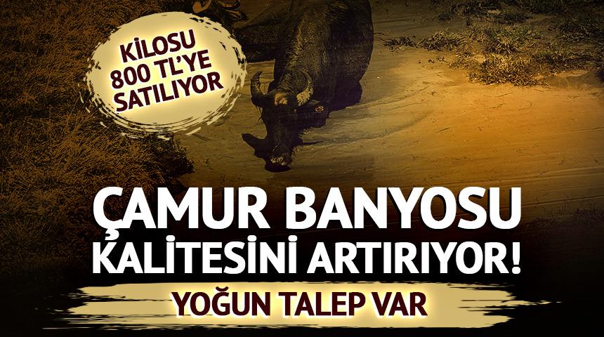 &Ccedil;amur banyosu kalitesini artırıyor! Kilosu 800 TL' den satılıyor