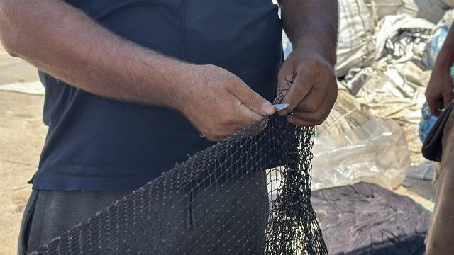 Balıkçılar yeni sezonda palamuttan umutlu 5